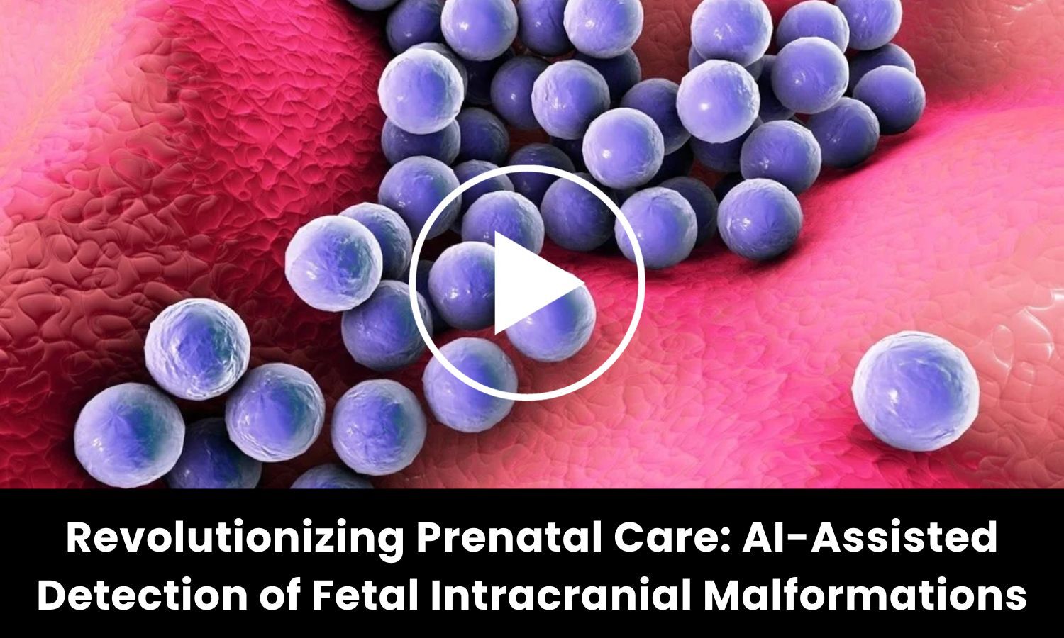 Revolutionizing Prenatal Care AI Assisted Detection Of Fetal