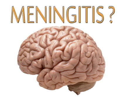 Indian vaccine for meningitis hailed in Africa - Medical Dialogues