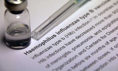 Haemophilus influenzae type b Vaccine