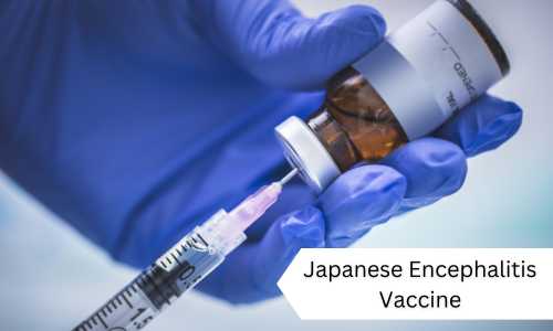 Japanese Encephalitis (JE) Vaccine
