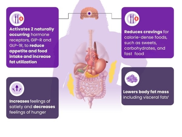 Human body illustration
