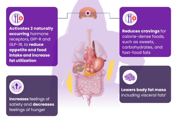 Human body illustration