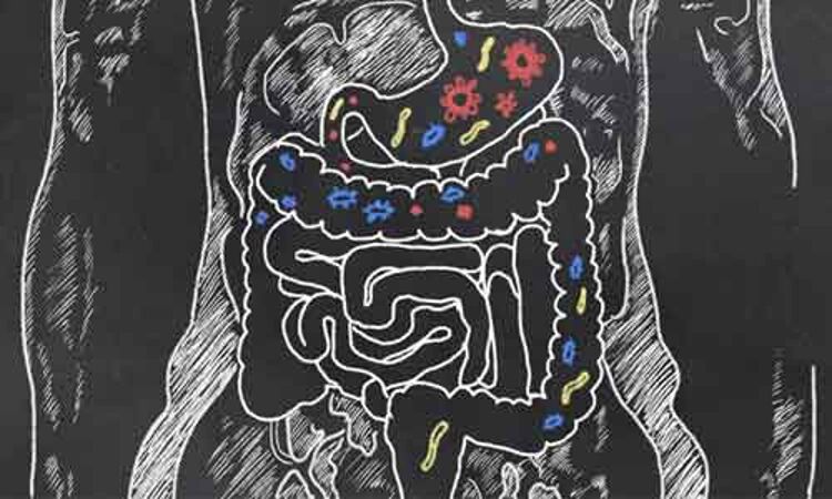 Probiotic drink may offer solution to antibiotic resistance