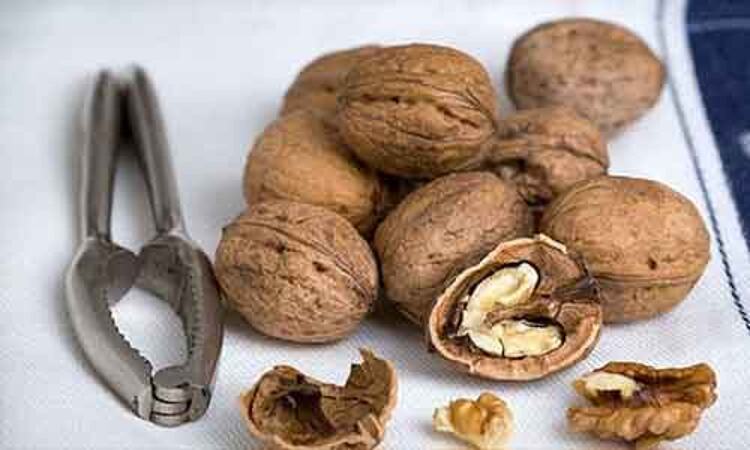 Walnut consumption may slow cognitive decline in seniors at high risk