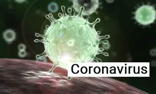 Coronavirus Update: China-returned doctor quarantined in Rajasthan