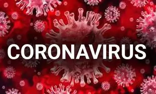 Coronavirus Scare in Delhi: Maharishi Valmiki Hospital suspends biometric attendance