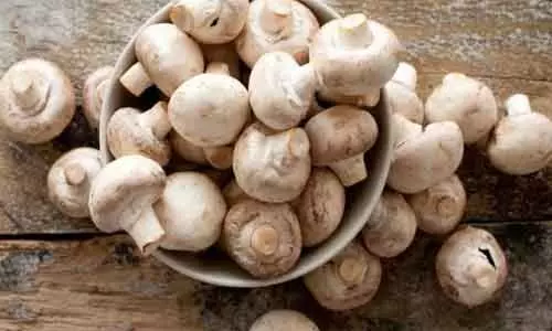 Antioxidant in mushrooms may help relieve preeclampsia symptoms