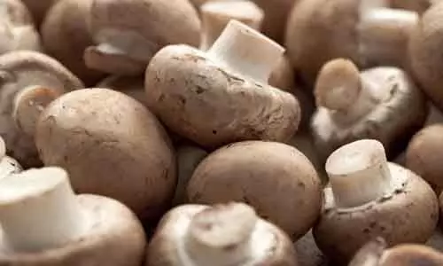 Mushroom intake may lower risk of depression, finds study