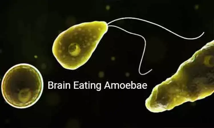 Quinazolinone,  derivatives effective against Brain-eating amoebae, finds study