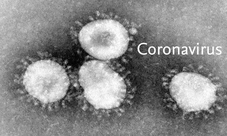 MERS vaccine may hold promise for COVID-19 vaccine, shows efficacy in mice