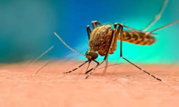 GSK hails WHO recommendation for malaria vaccine rollout