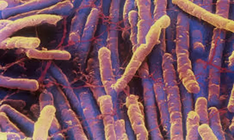 Fecal microbiota transplants improve diarrhoea in majority patients with C. diff