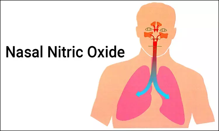 Nasal nitric oxide useful biomarker in persistent allergic rhinitis