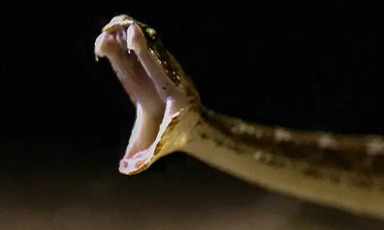 Kerala Hospital ward shutdown after 10 cobras spotted, patients relocated