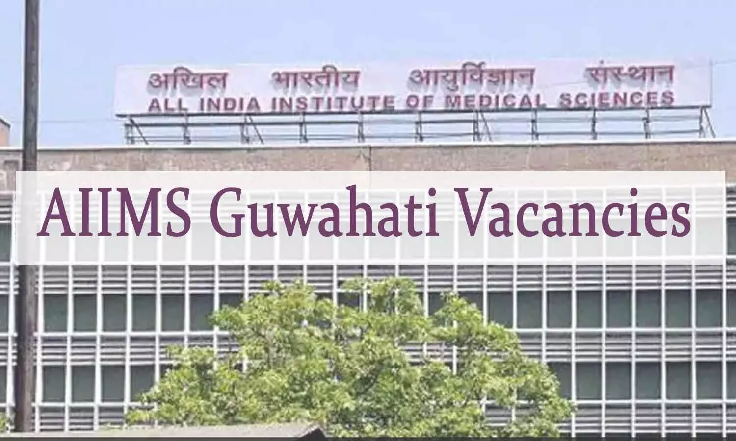 APPLY NOW: AIIMS Bhubaneswar Releases Vacancies Faculty Posts For AIIMS Guwahati In Various Departments
