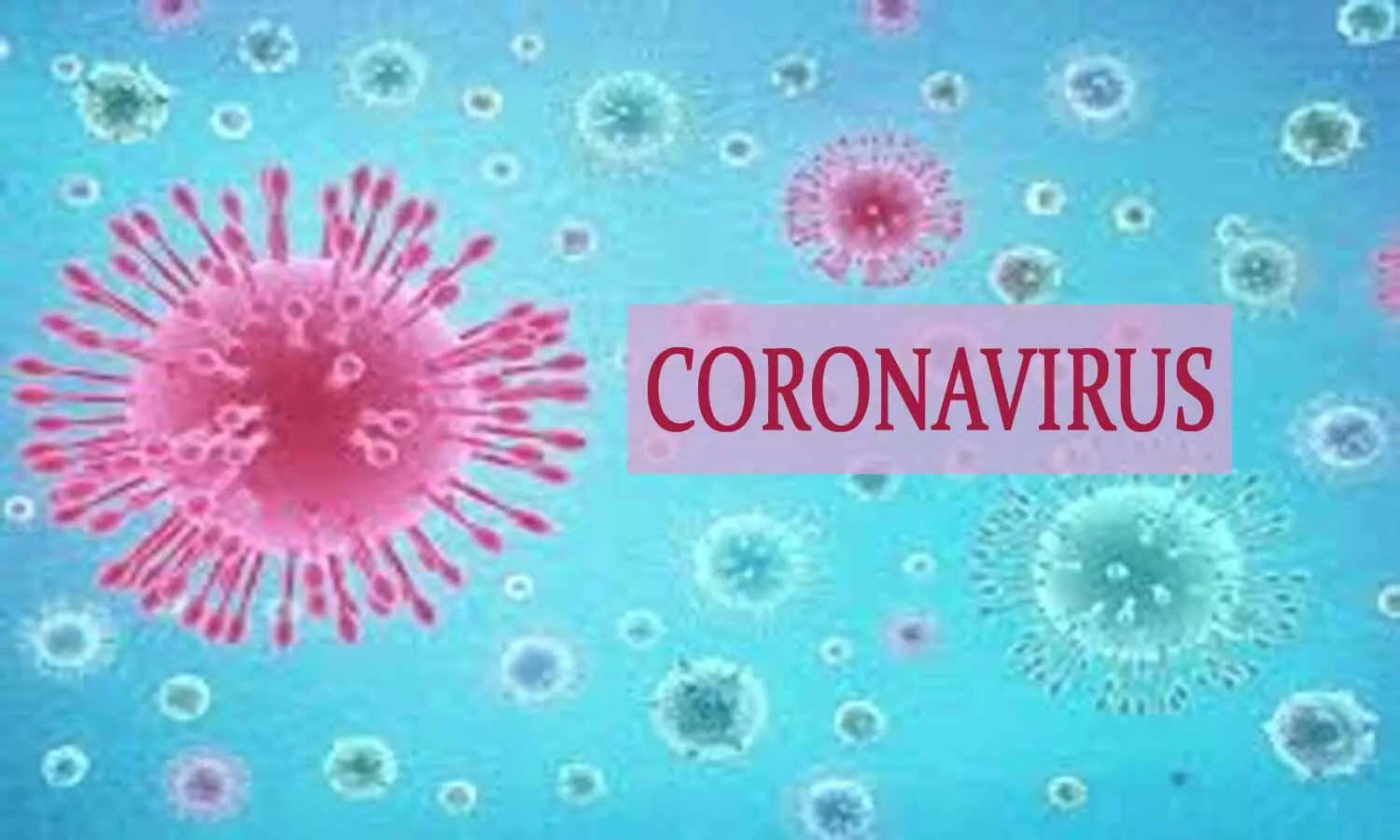 Coronavirus outbreak: Indias tally rises to 3.43 lakh