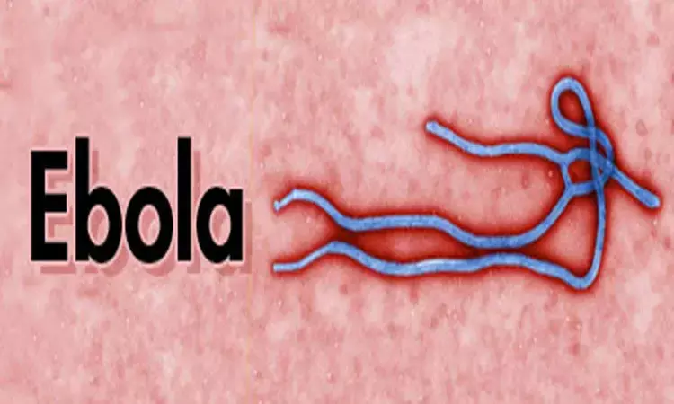 Scientists focus on development of  better Ebola vaccine