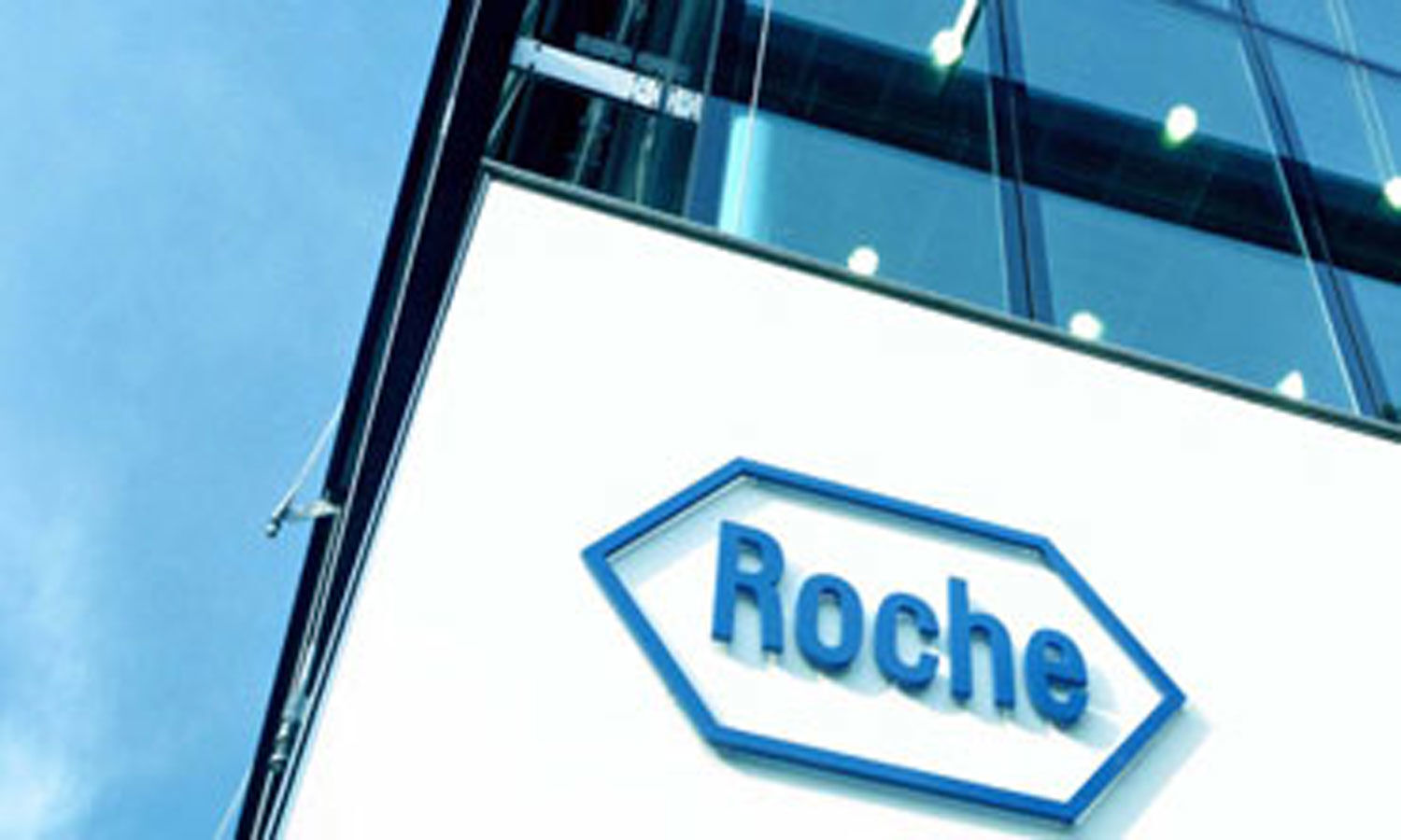 Roche holding