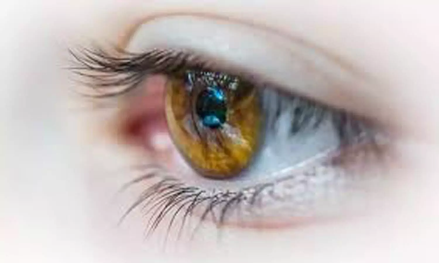 COVID-19 infection may lead to small fiber neuropathy on ocular surface: Study