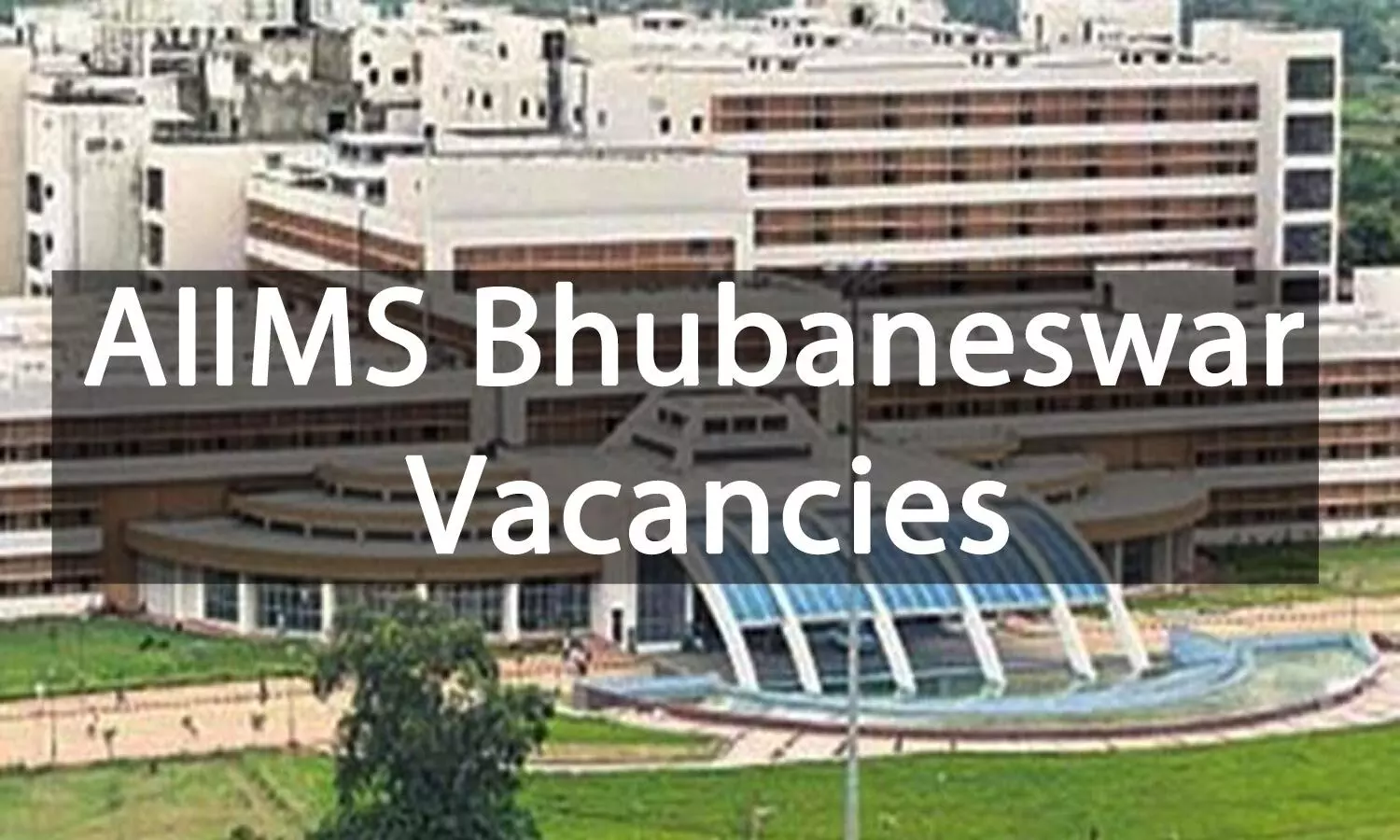 JOB ALERT: AIIMS Bhubaneswar Releases 84 Vacancies For Senior Resident Post; Apply Now