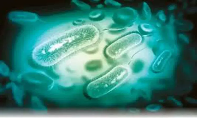 New three-drug combo effectively eradicates H pylori infection in adults