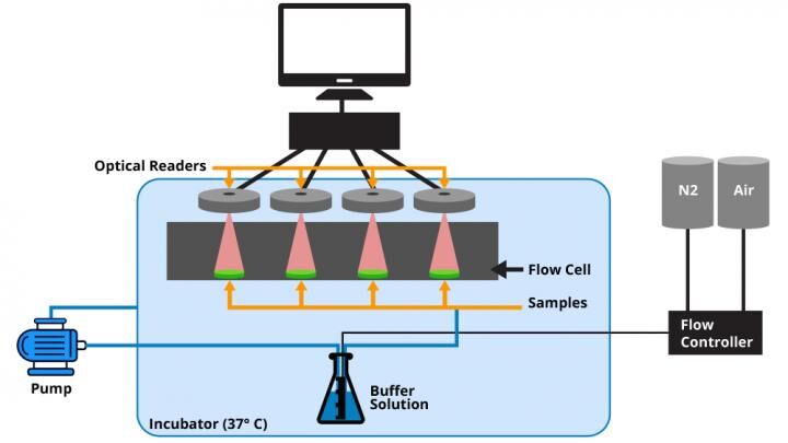 New optical biosensor system may help Gout patients monitor their symptoms better New optical biosensor system may help Gout patients monitor their symptoms better