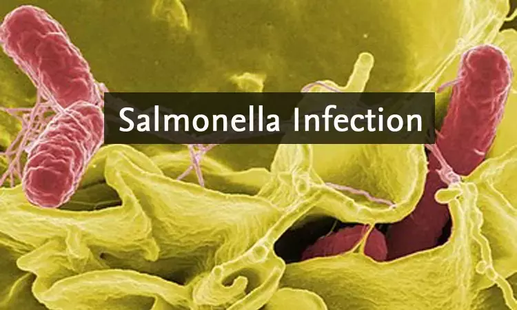 Dephostatinone  and colistin combo may help fight against Salmonella