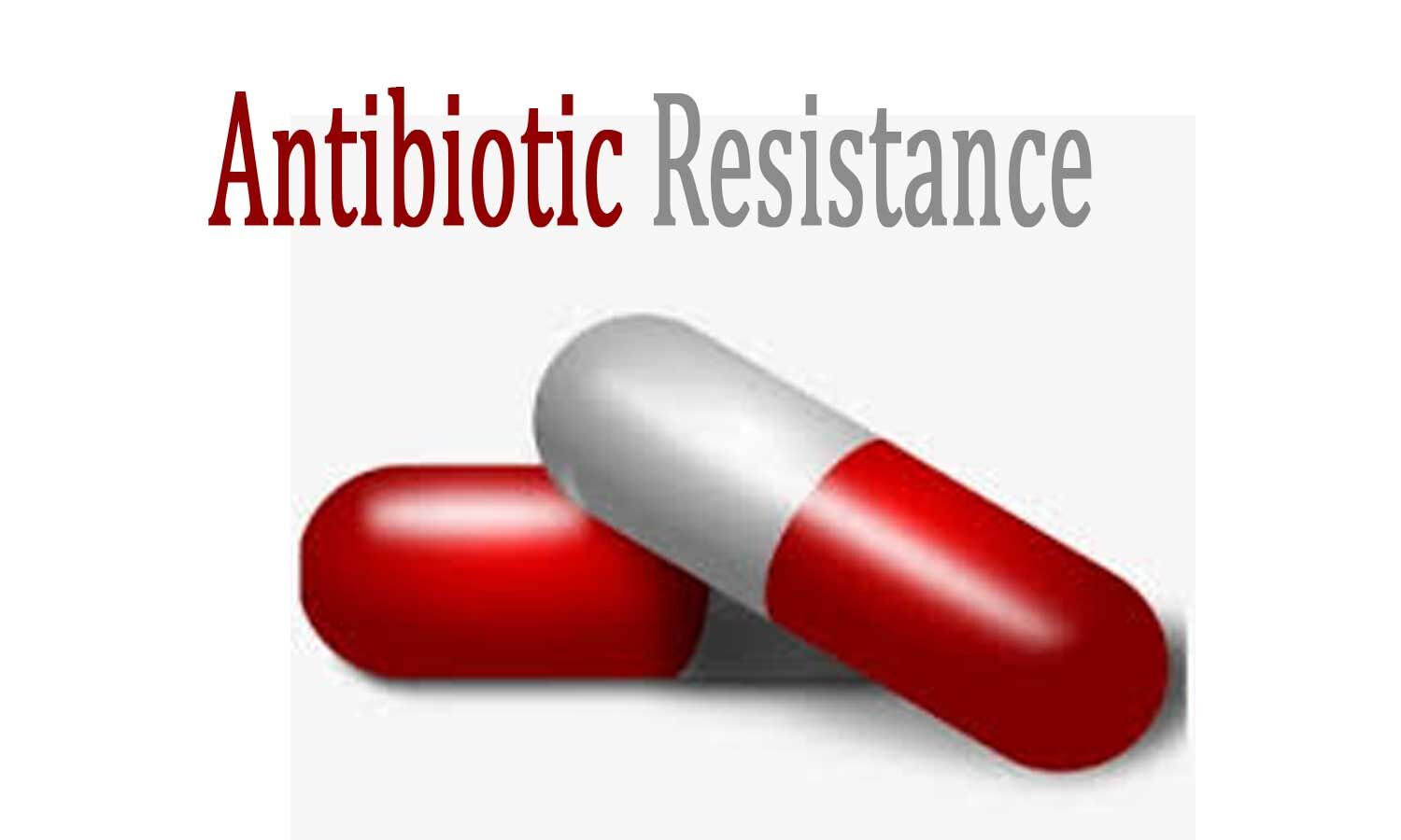 Antibiotic-resistant strains are currently one of the world’s leading infectious murderers: WHO