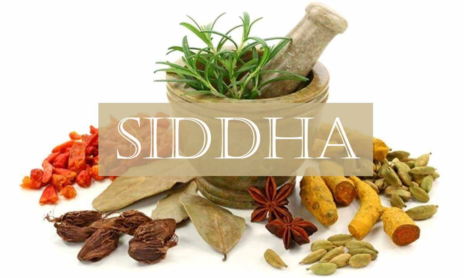 research articles in siddha medicine