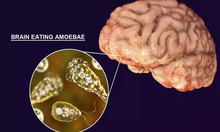 Fatal Brain infecting Amoeba found in Florida