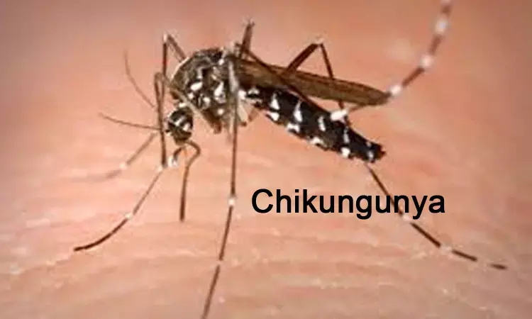 New VLA1553 vaccine may prevent chikungunya infection: Lancet