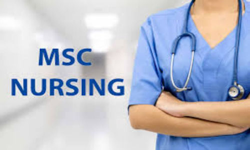 msc nursing assignment