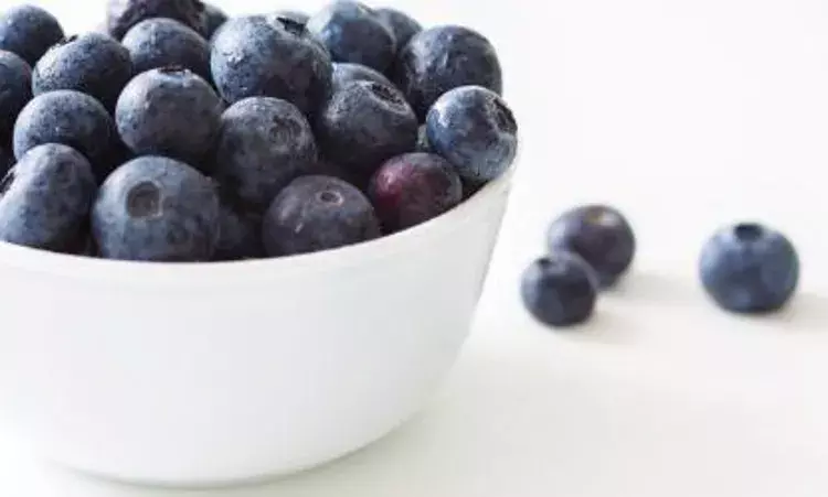 Blueberries consumption may improve mass and function of skeletal muscles: Study