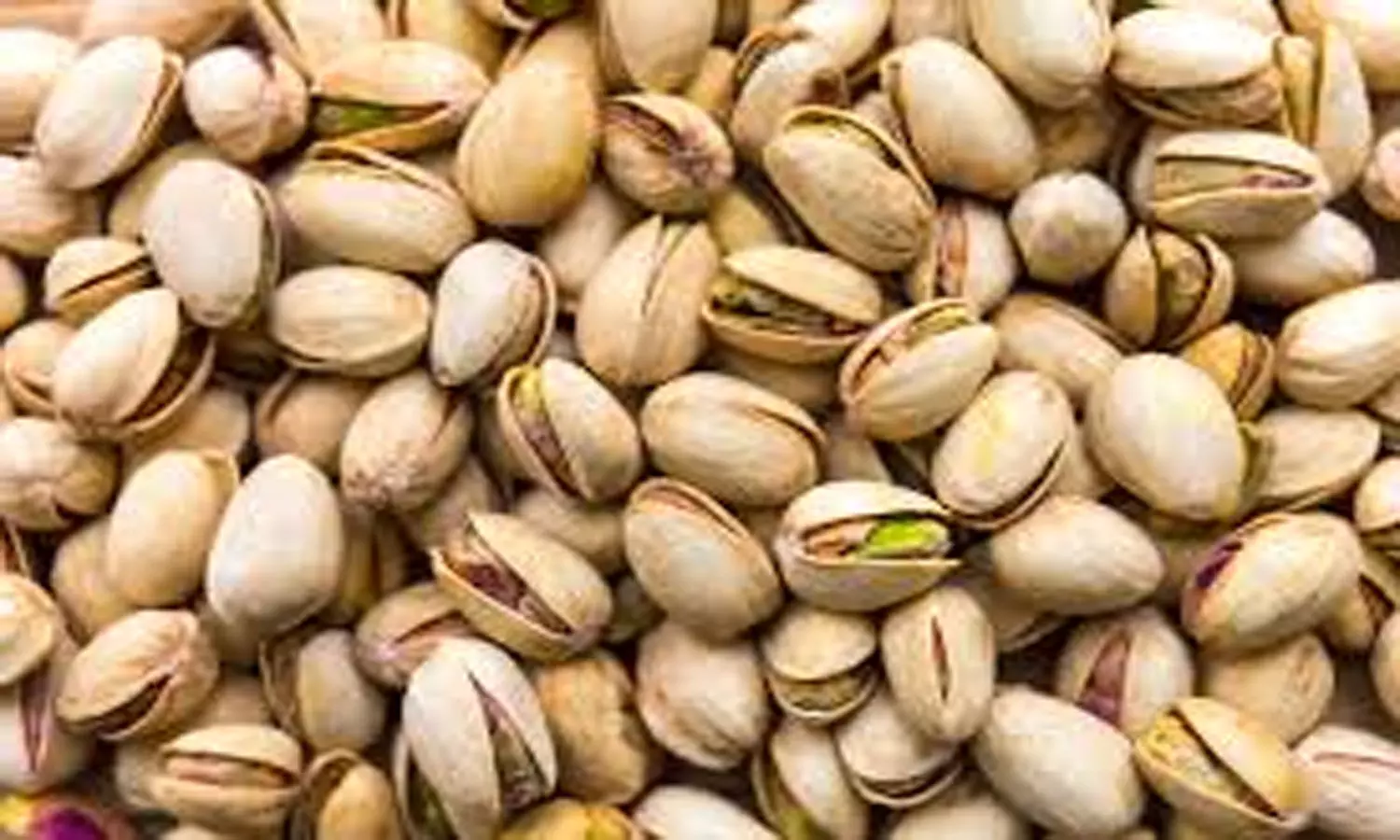 Pistachio consumption reduces blood sugar, systolic BP and increases HDL levels: Study