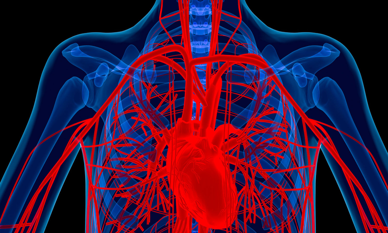 High dosage RAS blockade linked to improved survival after TAVR, finds ...