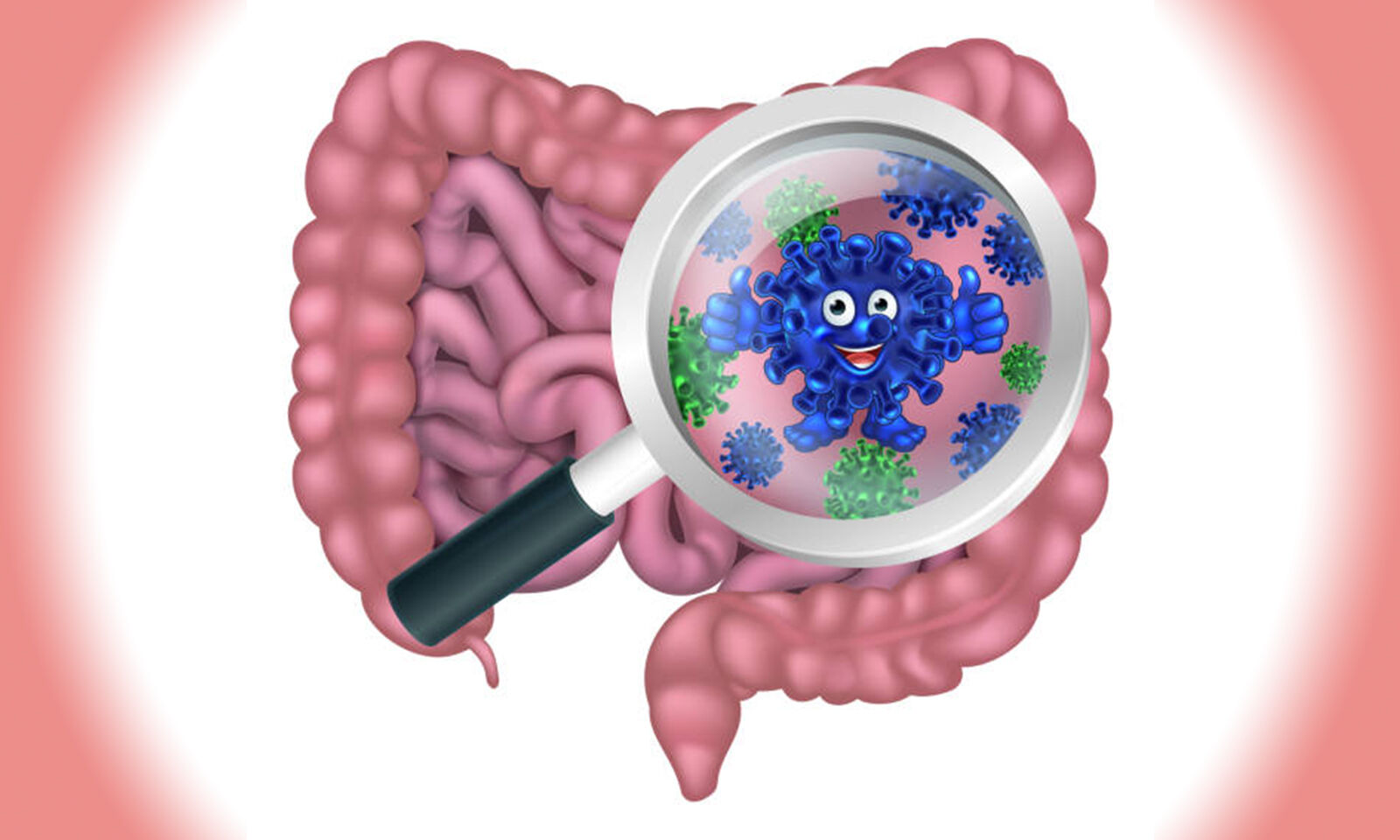 Specific bacterium in the gut linked to irritable bowel syndrome