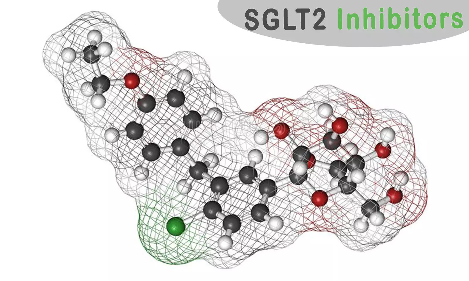 SGLT2 inhibitors improve survival and renal outcomes in heart failure: Lancet