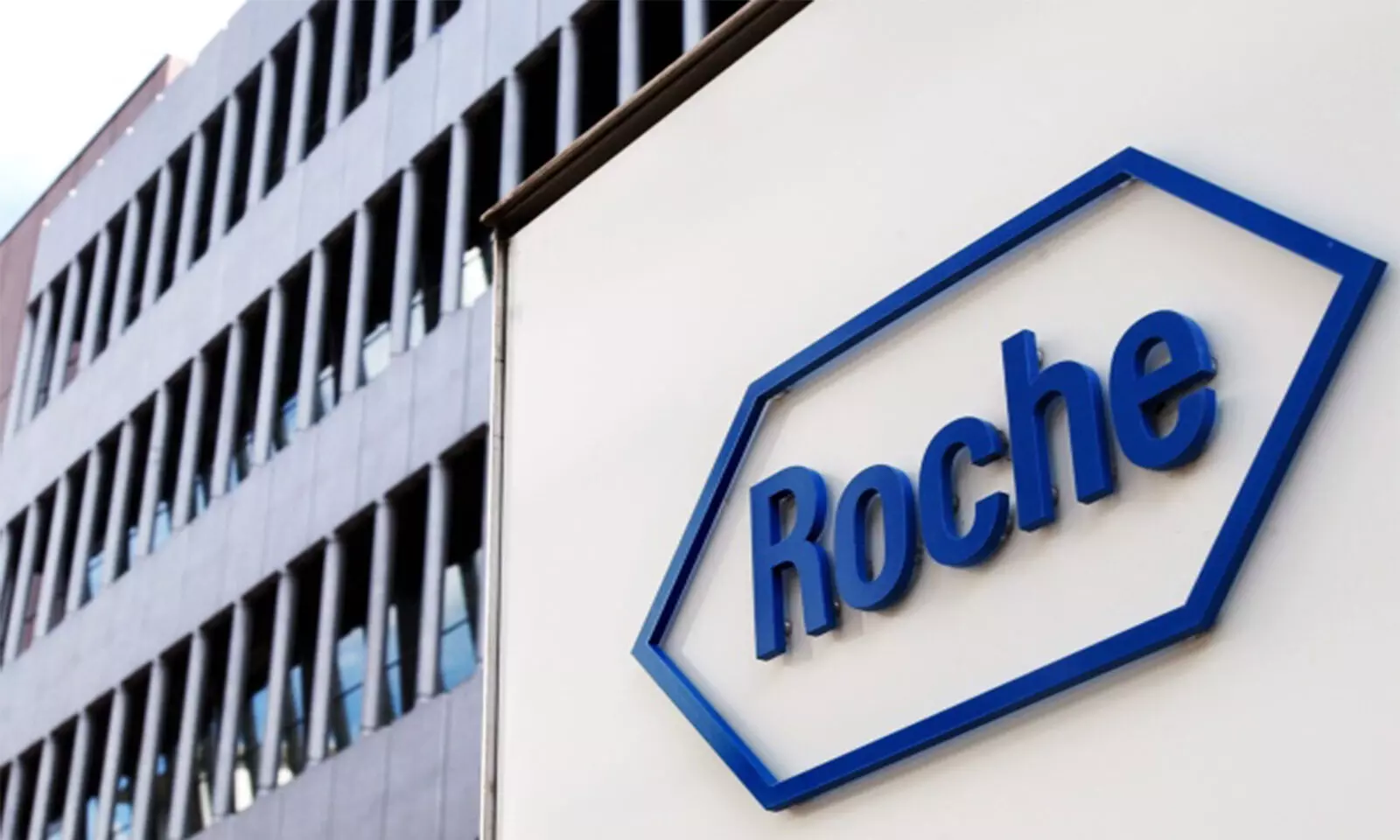 Roche loses money in Russia, says Chief Executive Severin Schwan