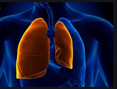 Solitary pulmonary capillary hemangioma presents with ground glass ...