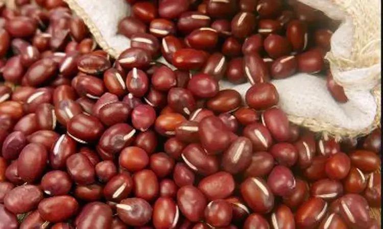 Beans consumption linked to reduced cardiovascular disease risk, finds study