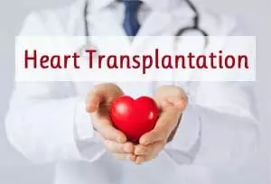 Heart transplantation: Donation after circulatory death feasible, study suggests