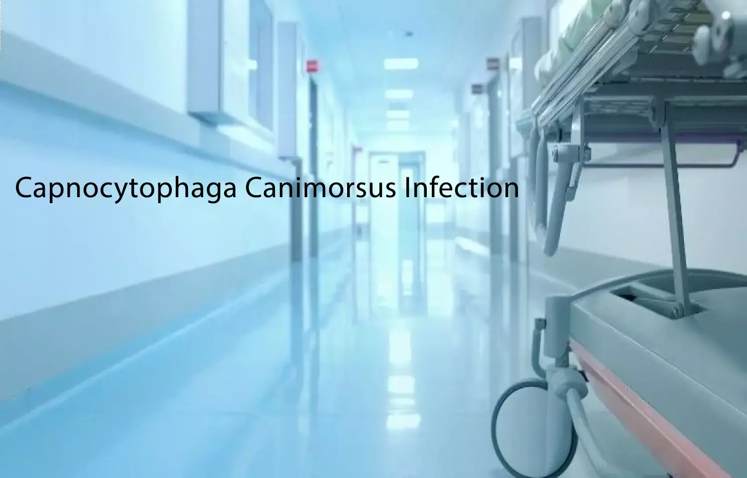 Case of Capnocytophaga canimorsus Infection reported in NEJM
