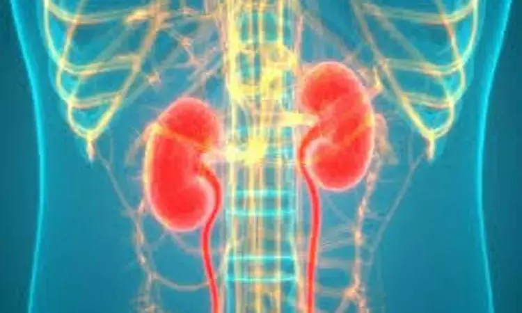 Mild electrical stimulation with heat shock ameliorates kidney disease
