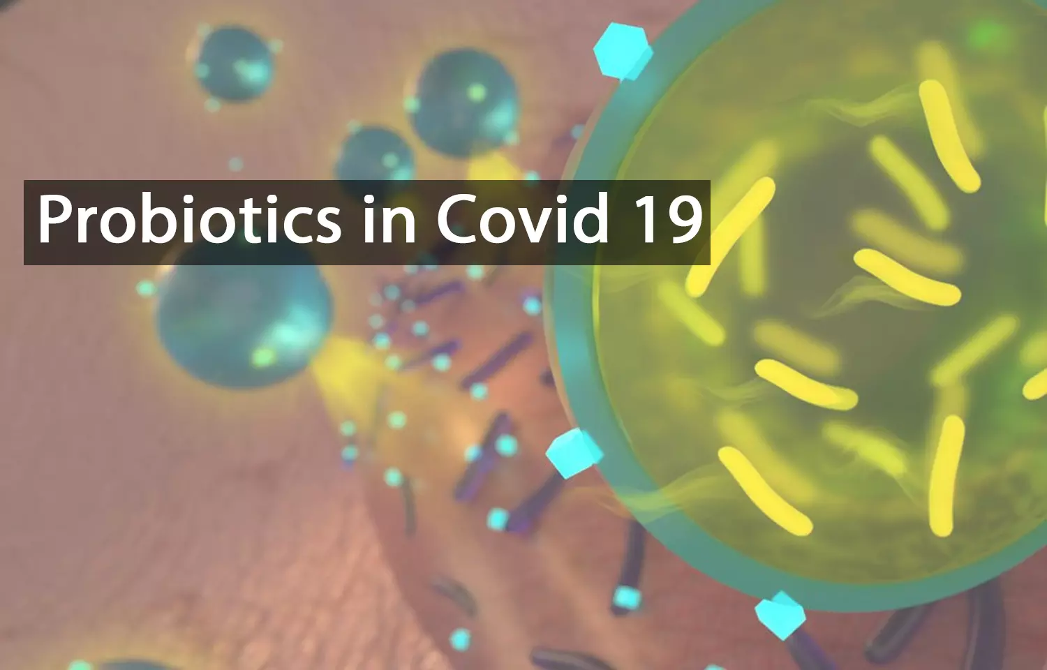 Human Gut Microbiome in COVID-19 - Exploring the Therapeutic Potential of Probiotics