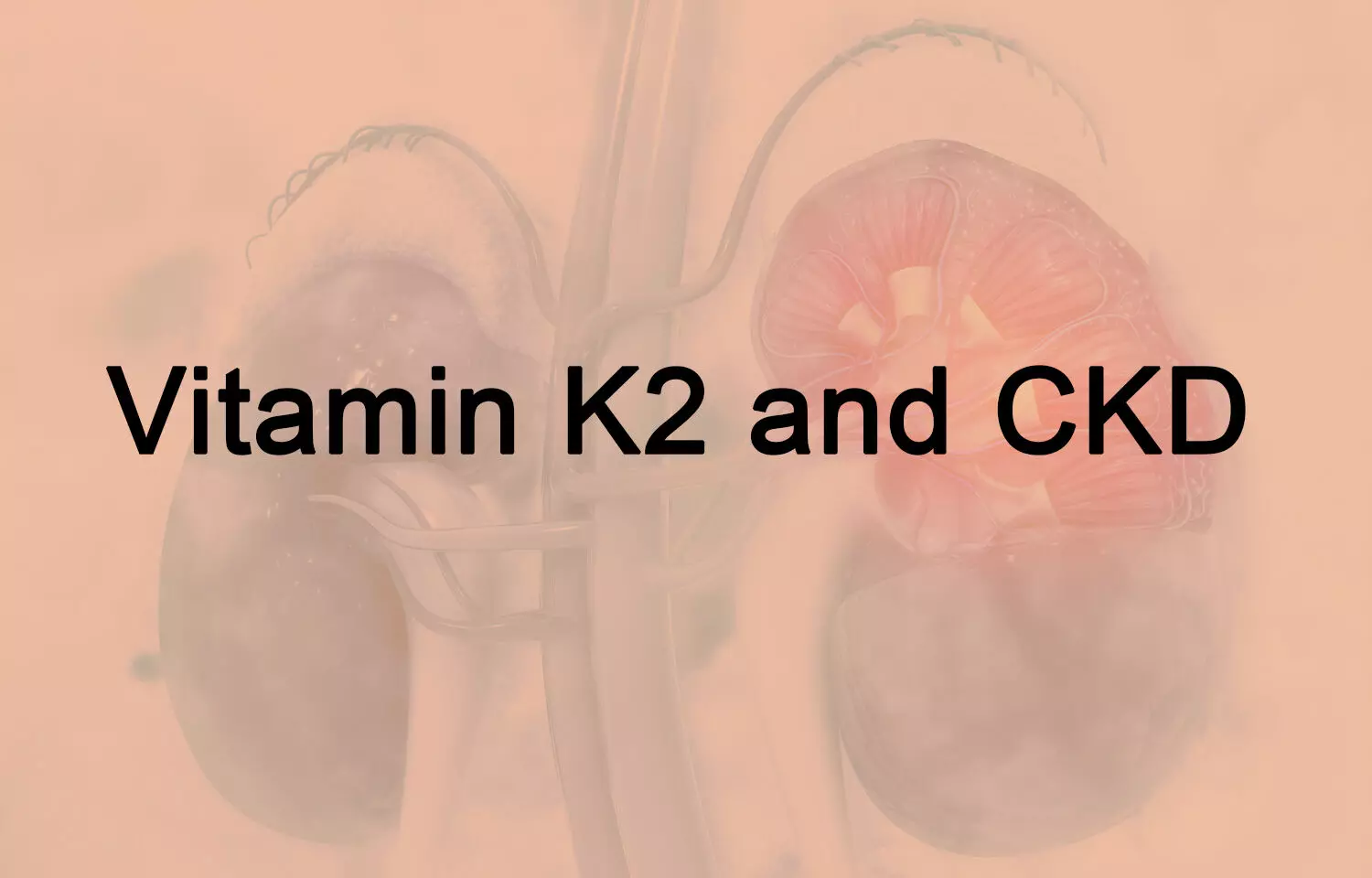Role of vitamin K in controlling atherosclerosis and vascular calcification in CKD patients: Review
