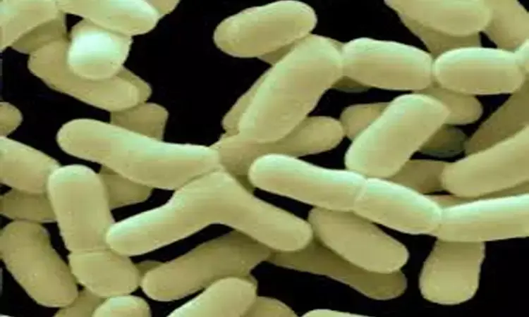 New probiotic strain  may   help reduce blood sugar and weight: Lancet Study
