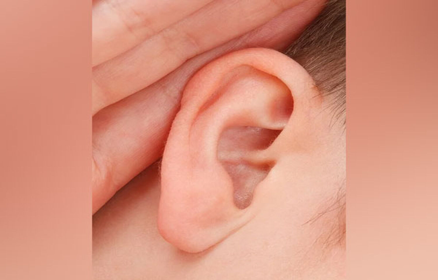 Scientists Develop New Gene Therapy For Deafness