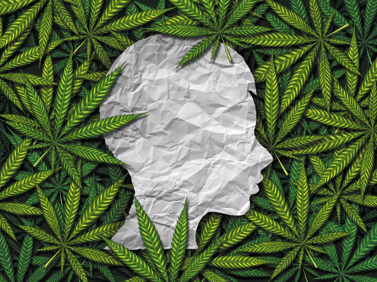 Cannabis Use among Youths Increases the risk of Self-Harm and Homicide