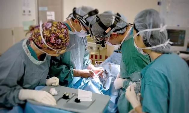 Surgical procedure may help restore hand and arm function after stroke