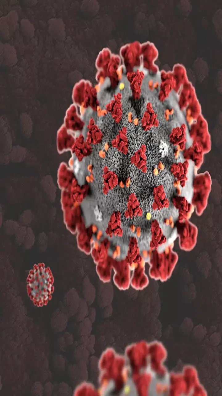 Top 10 vaccines that changed the health of the world